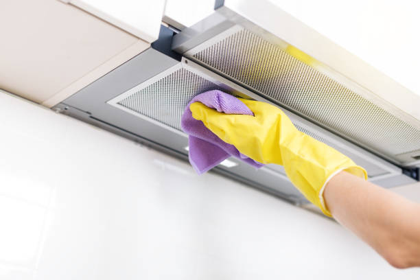 Best Affordable Duct Cleaning Services  in De Soto, IL